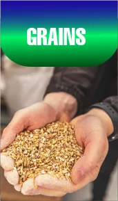 Grains